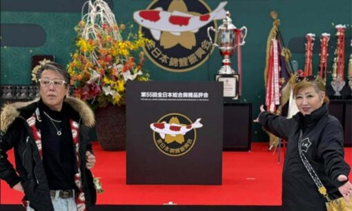 札幌花井組の七戸義昭社長が暴行で書類送検　鯉の水槽ミスで見せしめボコり動画拡散、警察との癒着疑惑も浮上