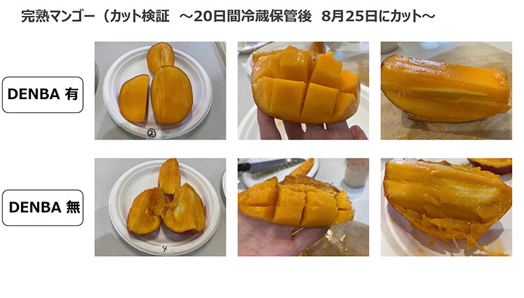 DENBAを活用した実験