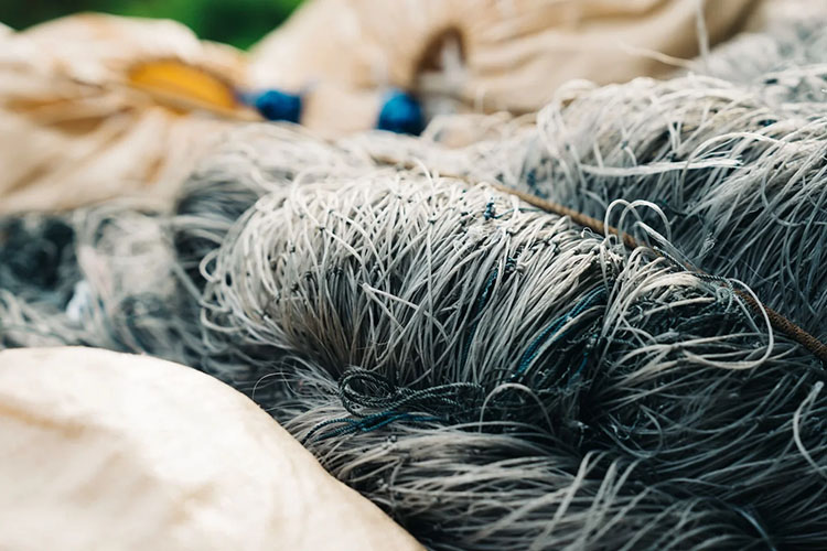 漁網のイメージ画像