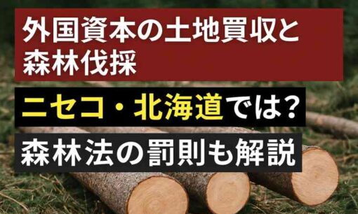 ニセコに広がる外国資本の森林買収と無届け伐採　見えない土地の主と緩い制度の現実