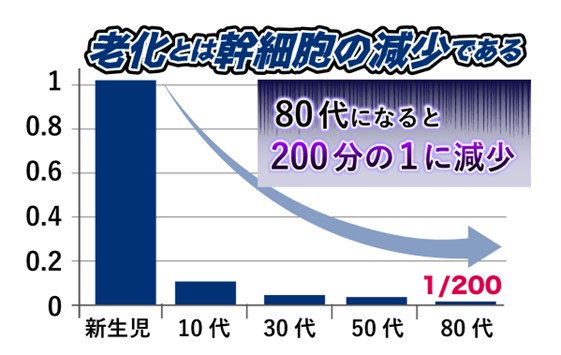 老化とは幹細胞の減少である