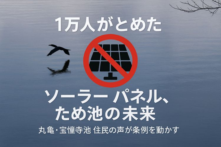 丸亀、水上メガソーラー発電中止