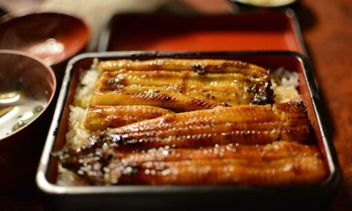 絶滅危惧はウナギよりうな重？ EUが突きつけたワシントン条約の衝撃、日本の老舗鰻屋が悲鳴