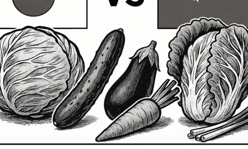 中国産野菜の方が本当に安全なのか？　参政党・神谷宗幣氏演説の真意とは