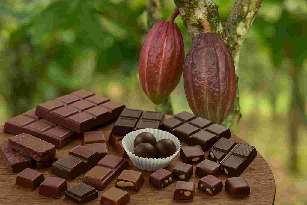 カカオ チョコレート