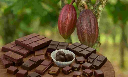 チョコレートが“高嶺の花”になる日…カカオ高騰がもたらす変化とは？