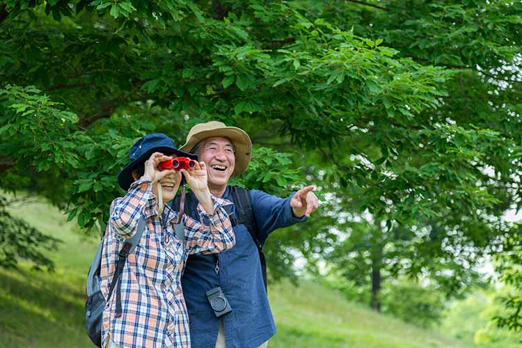 セルフメディケーション、LPN