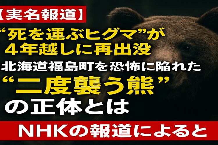 ヒグマ4年振りに再出没