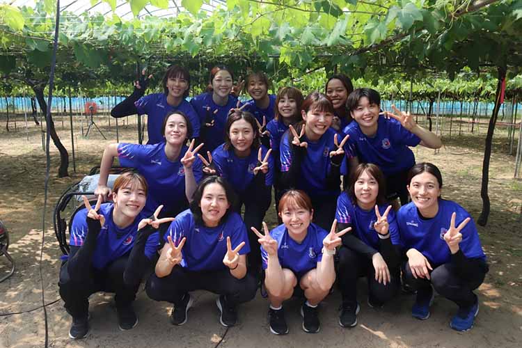 PFUブルーキャッツ石川かほく