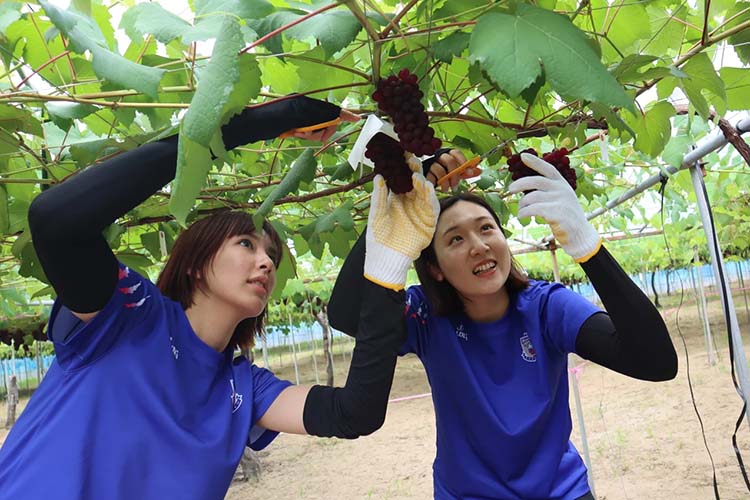 PFUブルーキャッツ石川かほく