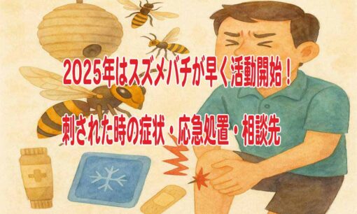 2025年はスズメバチが早く活動開始！刺された時の症状・応急処置・相談先