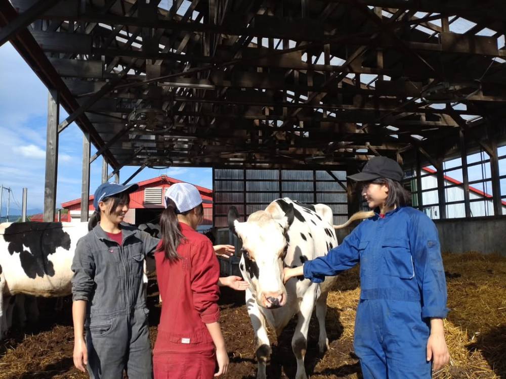 牧場研修の様子