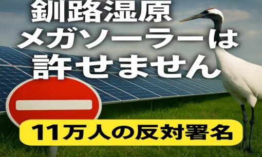 釧路湿原メガソーラーに11万超の反対署名　野口健も警鐘『自然破壊は止められないのか