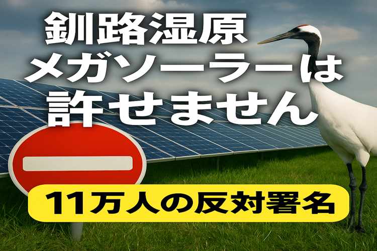 釧路湿原のメガソーラー