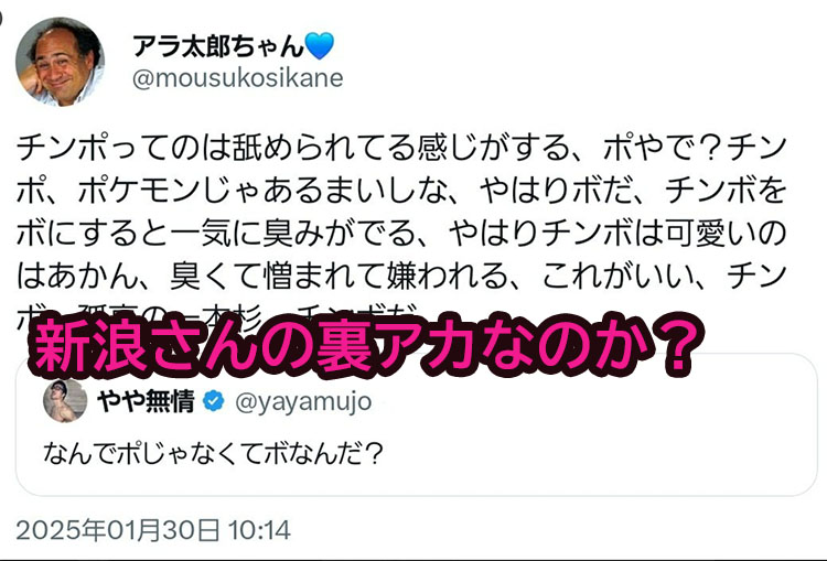 アラ太郎、新浪説
