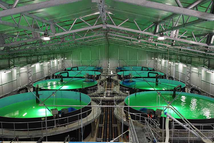 山口産業 膜構造陸上養殖施設