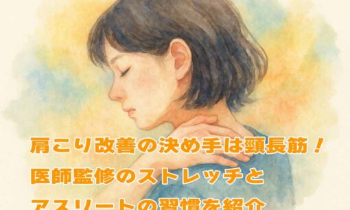 肩こり改善の決め手は頸長筋！医師監修のストレッチとアスリートの習慣を紹介