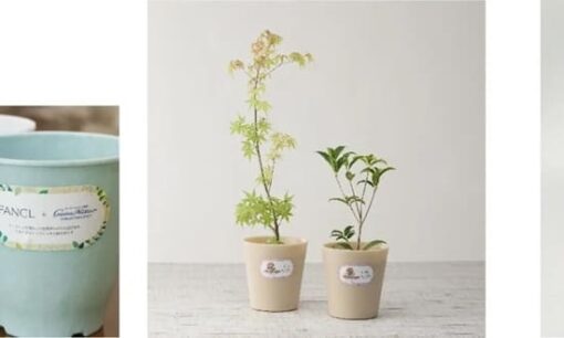 【ファンケル SDGs最前線】使用済み容器を植木鉢へ再生　25,000鉢突破が示す循環型社会の新モデル