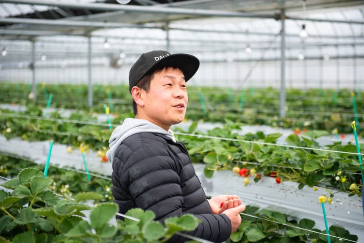 あまおうの“ロス果実”が香りに変わる――フェルナンダが描く「捨てない未来」