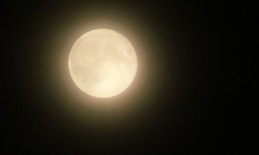 【2025最大級の夜空】“コールドムーン”が今夜輝く　月と木星の接近＆流星群も続くスペシャル週間へ