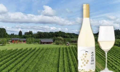耕作放棄地再生で生まれたシャルドネを限定販売　秋田キャッスルホテルが“北秋田初ワイナリー”のワイン提供開始