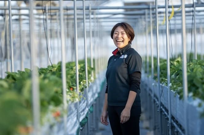 2024年問題を突破する「貨客混載」 いちごが描く宮崎・福岡の食物流革新