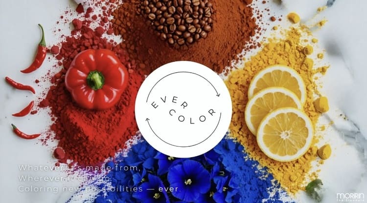創業350年の繊維商社が挑む「色の再定義」。モリリン株式会社が「EVER COLOR」で加速させる異業種共創の循環経済
