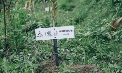 株式会社ANのネパール植樹が示す「雇用創出」とサステナブル経営の本質