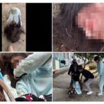 DEATHDOL NOTEが暴いた凄惨映像　女子生徒に土下座強要、男子生徒が顔面蹴り　会津若松市立第五中学校で何が起きたのか