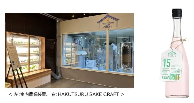 白鶴酒造が拓く「醸造CO2循環」の勝機。発酵ガスでバジルを育む逆転の発想