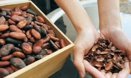 箱根の温泉が「若返り」の拠点に　廃棄カカオを資源化するユネッサンの循環経営