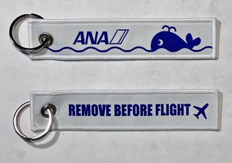 石垣島のゴミが「空飛ぶお宝」に?ANAとオーシャンクラスが挑む「海洋プラ」逆転のビジネスモデル