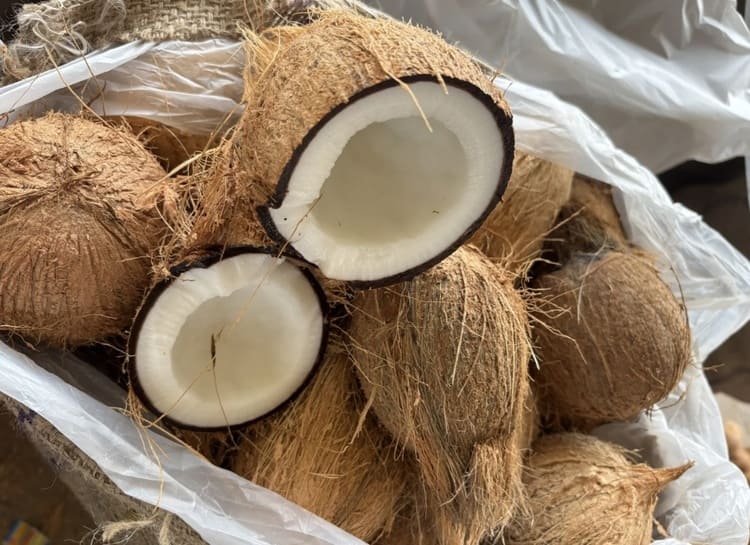 廃棄ココナッツを「防炎」建材へ 鹿田産業が示すサステナビリティの実装力