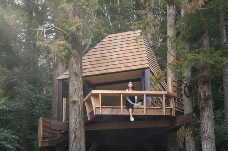 千葉・和心村のサステナブルな挑戦 2026年「里山共生」が描く観光の未来