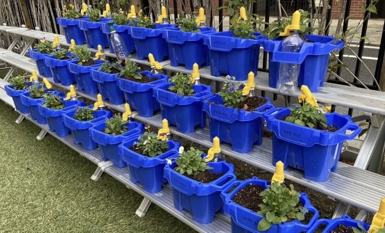 朝顔の鉢を熊野筆へ PHI社が描く資源循環の「勝色」