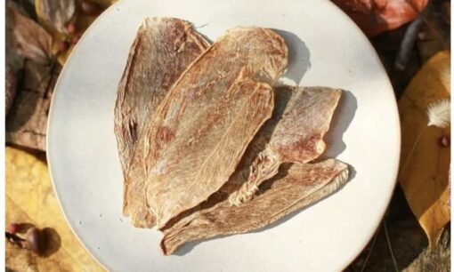 イリオスマイルが挑む、廃棄鹿を宝に変える「鮮度30分」の奇跡