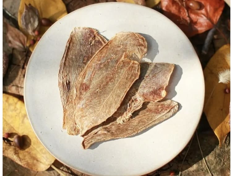 イリオスマイルが挑む、廃棄鹿を宝に変える「鮮度30分」の奇跡