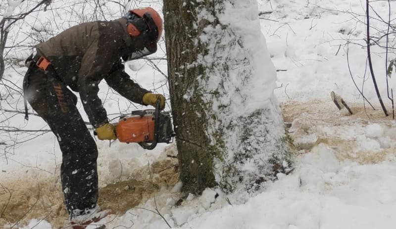 創業193年　松葉屋家具店が挑む「命の追跡」