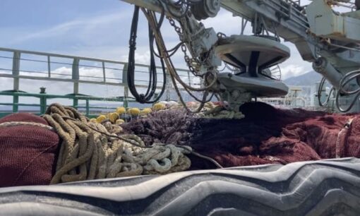 サンシャイン水族館が放つ「着る環境保護」漁網リサイクルの衝撃